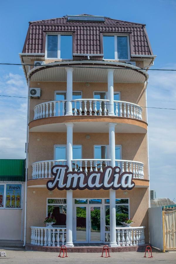 Amalia Hotel Zaliznyy Port Exterior photo